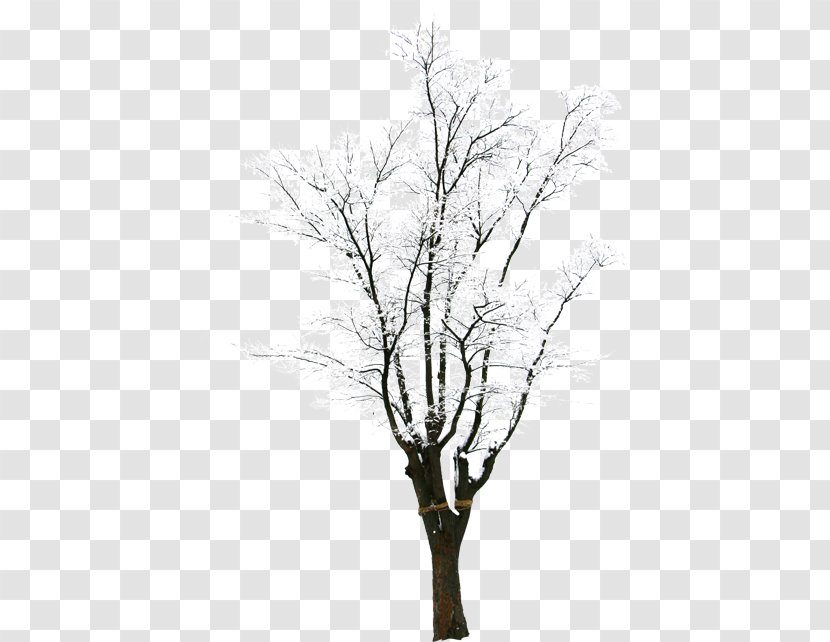Twig Snow Tree Winter - Monochrome Photography - HD Creative Synthesis Trees Transparent PNG