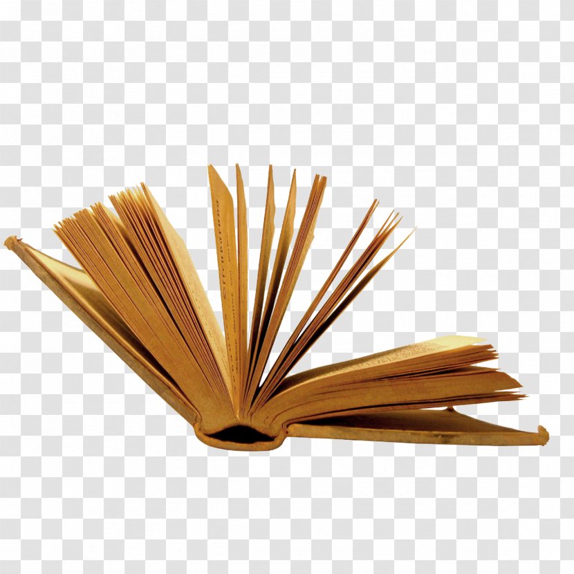 Book Buyer Company Culture E-reader - Wood - The Is Open Transparent PNG