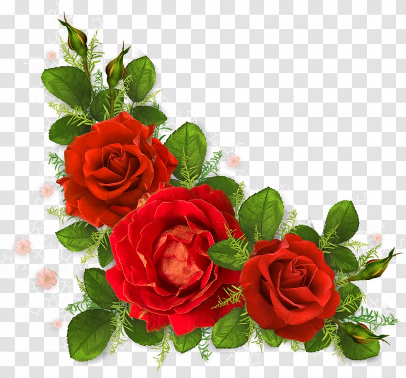 Roses, Girona Flower Clip Art - Rosa Centifolia - Rose Transparent PNG