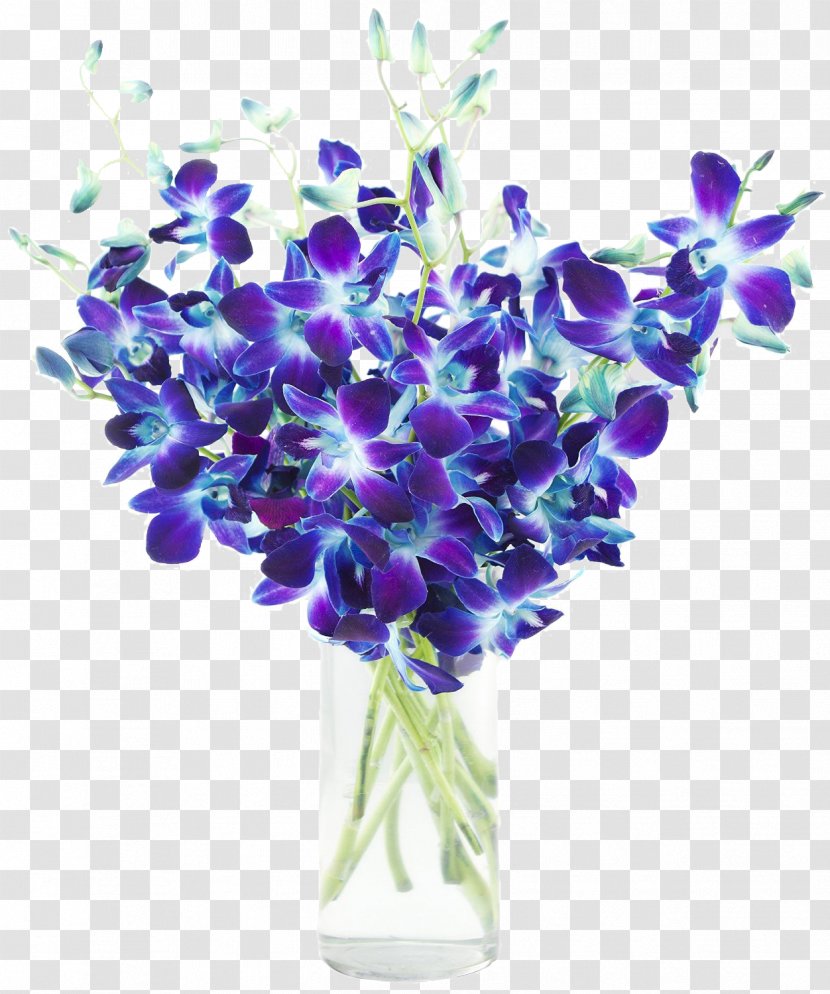 Dendrobium Orchids Blue Flower - Plant - Hortensia Transparent PNG