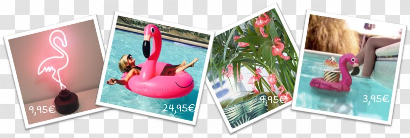 Greater Flamingo Paper Cote De Popularité Art - Flamingos - Flamant Rose Transparent PNG
