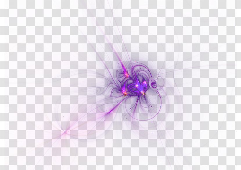 Light Bloom 3D Computer Graphics Wallpaper - Purple Fresh Twist The Effect Element Transparent PNG