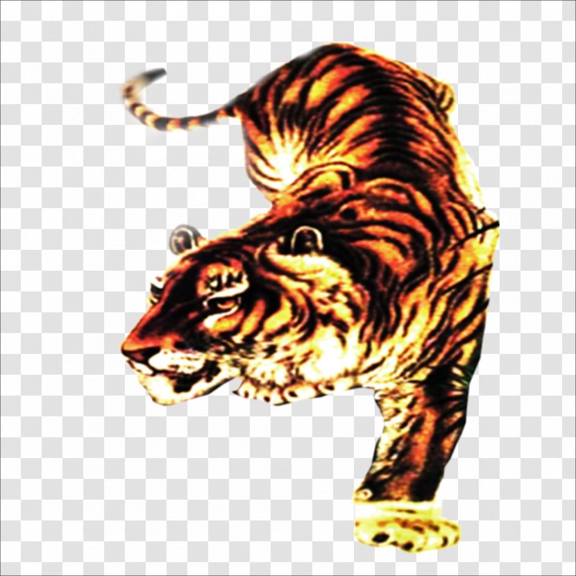 Tiger Cat Roar Illustration - Wildlife Transparent PNG