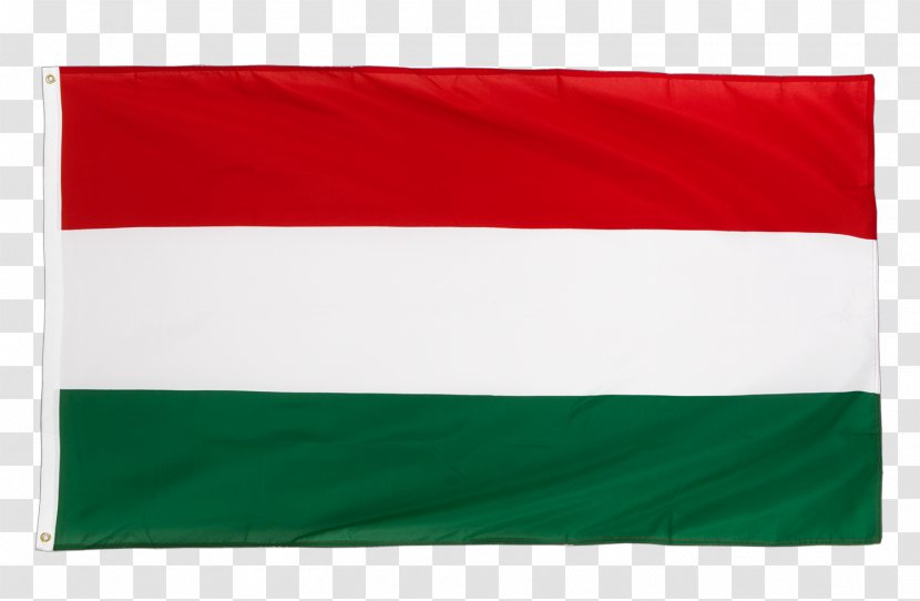 03120 Flag Rectangle Transparent PNG