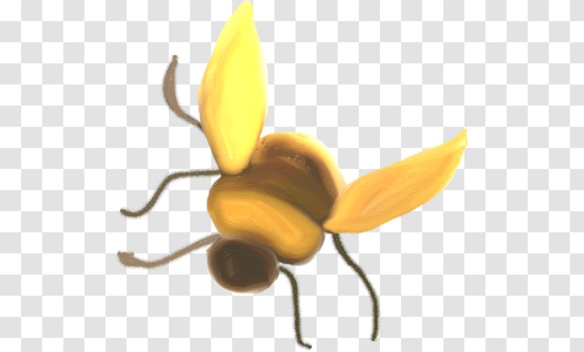Bee Adobe Photoshop Yellow Internet Forum Color - Botany - Abeja Transparent PNG