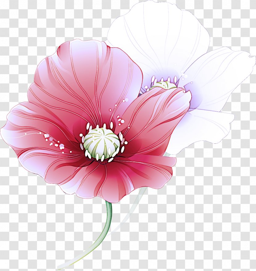 Pink Petal Flower Gerbera Plant - Wildflower Barberton Daisy Transparent PNG