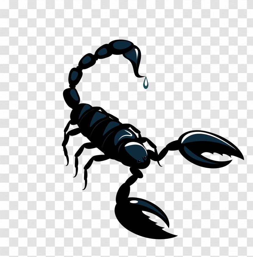 Scorpion Astrological Sign Horoscope Astrology - Cancer - Vector Black Material Transparent PNG