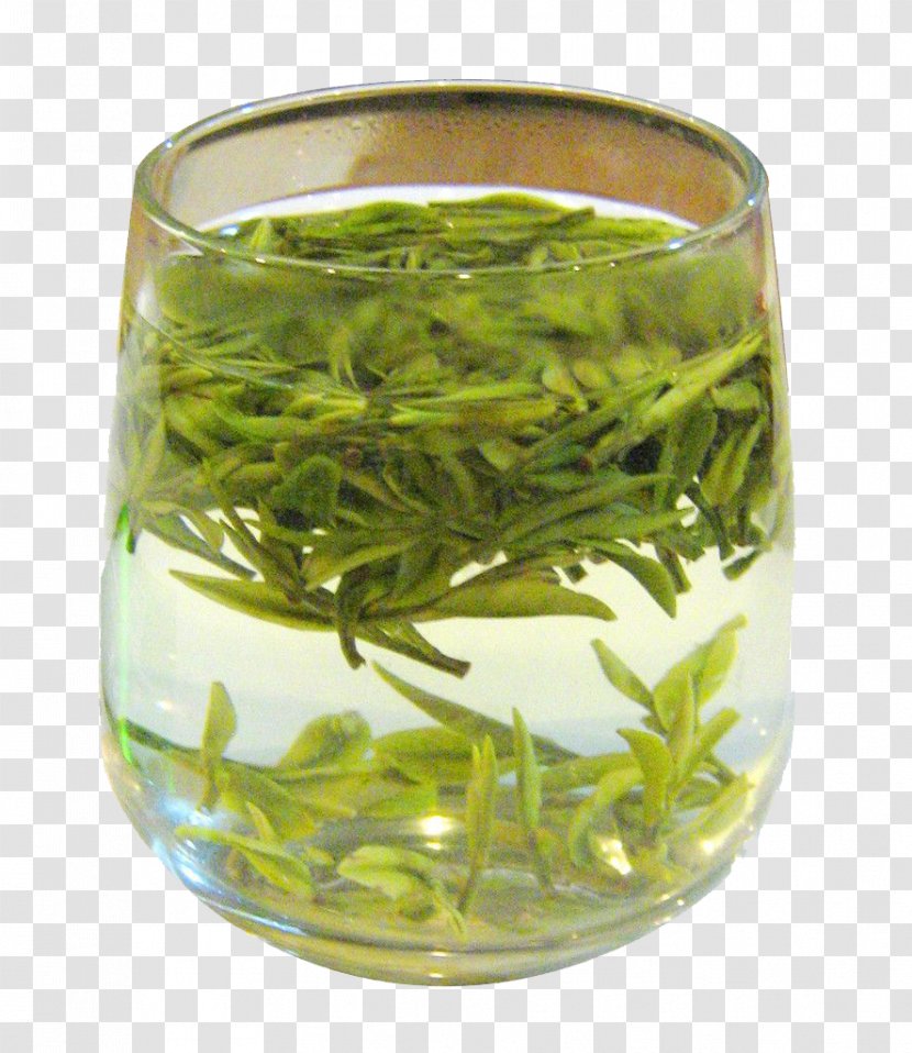 White Tea Green Oolong Longjing - Cup Of Transparent PNG