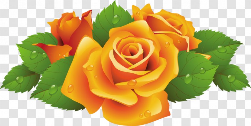 Rose Flower Clip Art - Floral Design - Yellow Transparent PNG