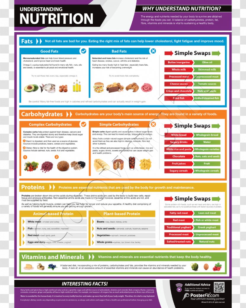 Exercise Nutrition Healthy Diet Nutrient - Web Page - Avocados Transparent PNG