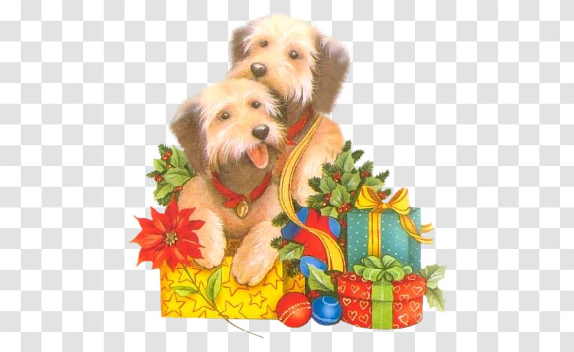 Yorkshire Terrier Norfolk Puppy Christmas Ornament Maltese Dog Transparent PNG