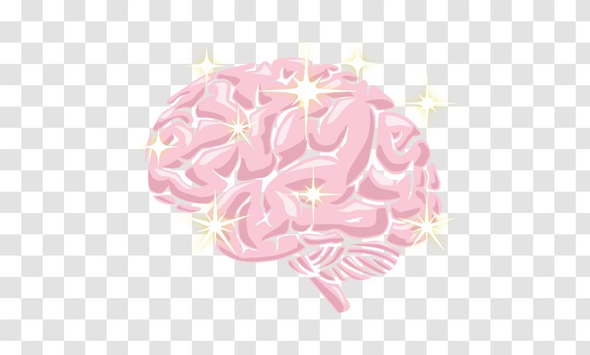 Brain Pink M - Cartoon - Ginkgo-biloba Transparent PNG