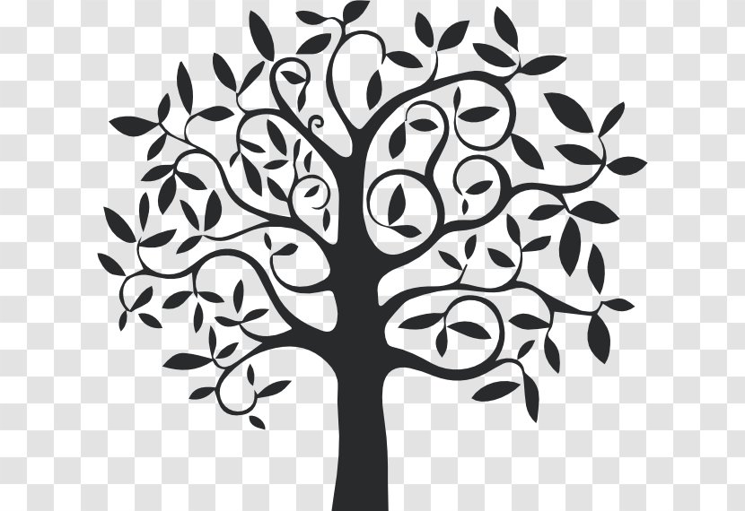 Wall Decal Sticker Tree - Drawing Transparent PNG