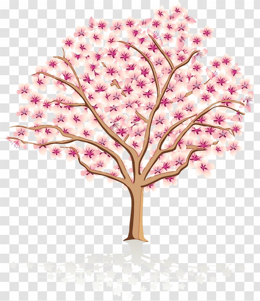 Clip Art Openclipart Tree Free Content - Botany - Spring Transparent PNG