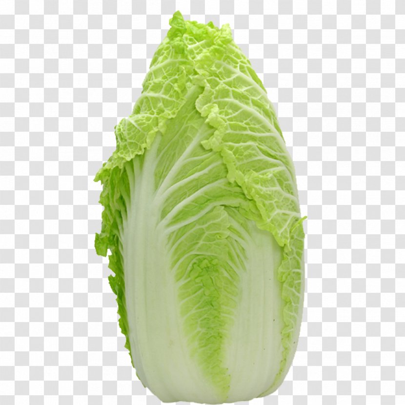Chinese Cabbage Leaf Lettuce Vegetable Salad - Picture Material Transparent PNG
