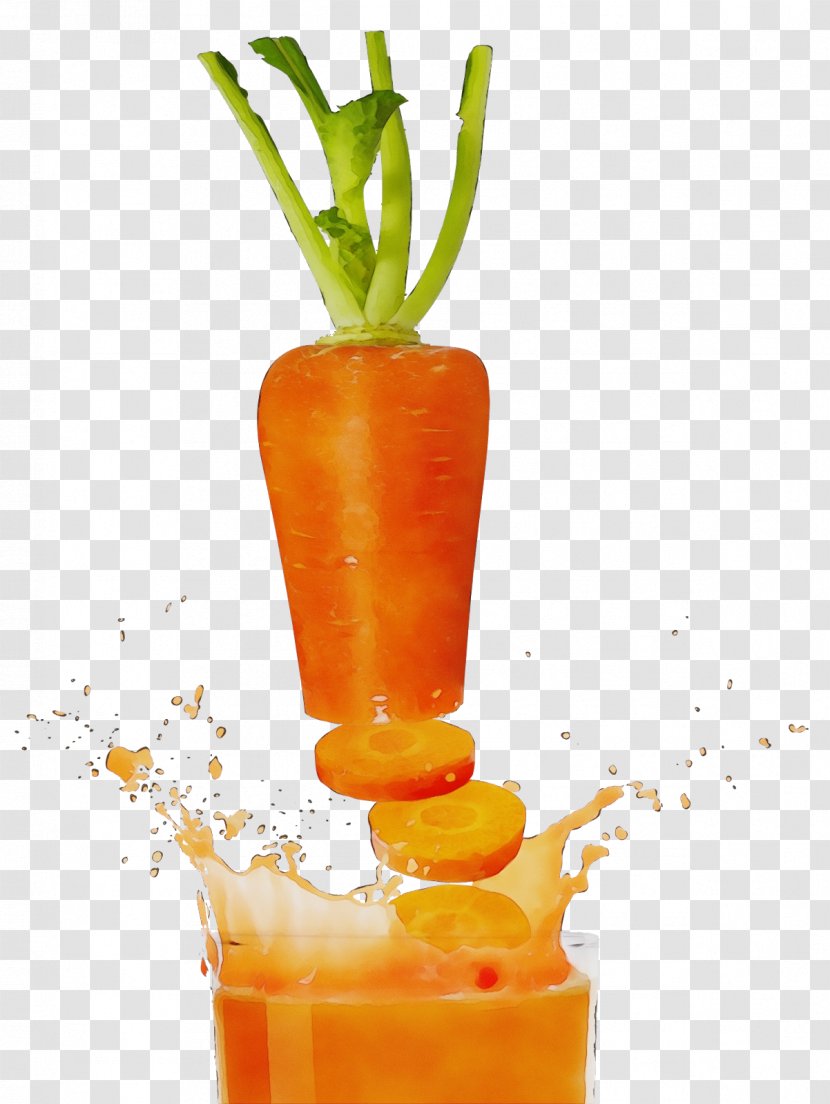 Carrot Cartoon - Garnish - Root Vegetable Distilled Beverage Transparent PNG