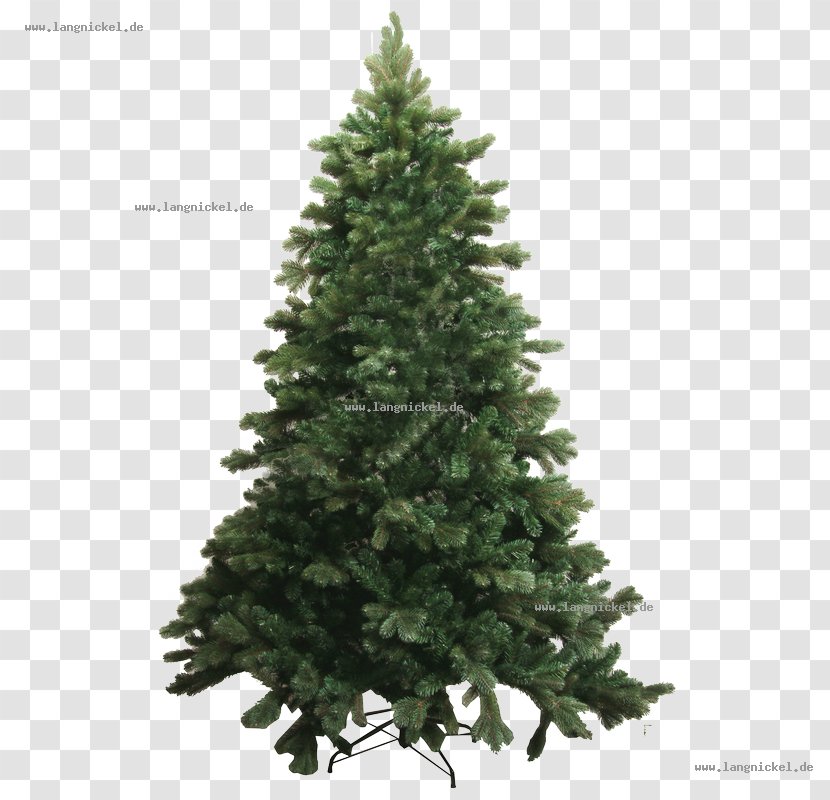 Spruce Abies Bracteata Tree Pine Douglas Fir - Artificial Christmas Transparent PNG