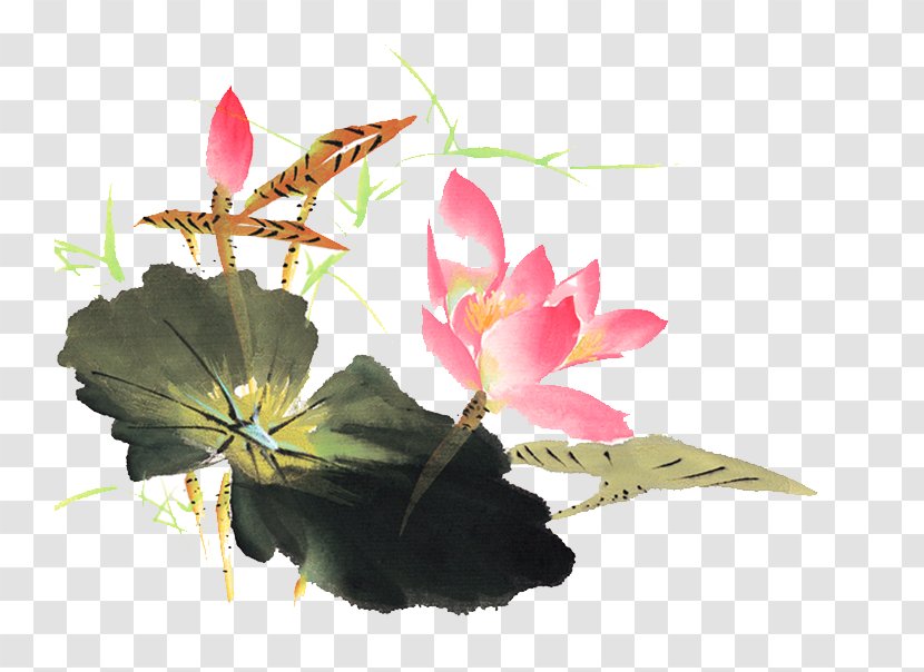 Ink Wash Painting Art - Flower - Chinese Style Lotus Effect Transparent PNG