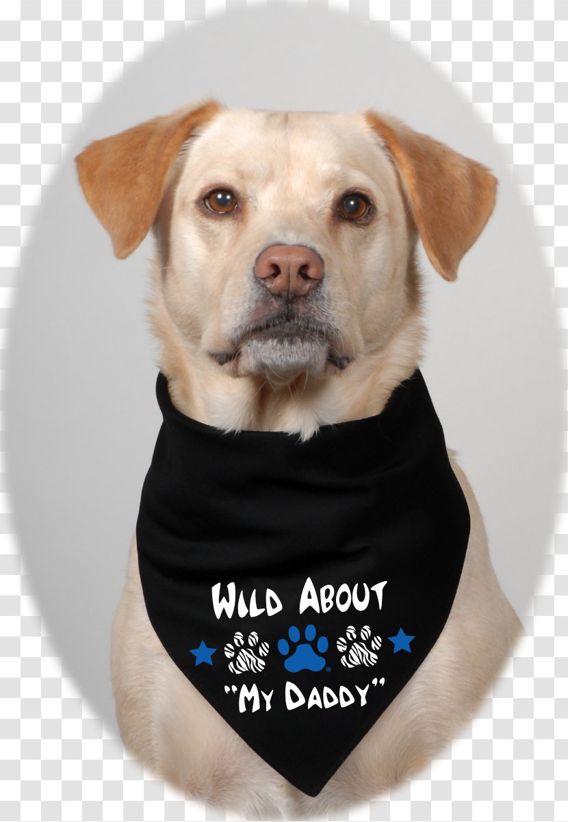Labrador Retriever Horse Breed Dog Puppy - Snout Transparent PNG