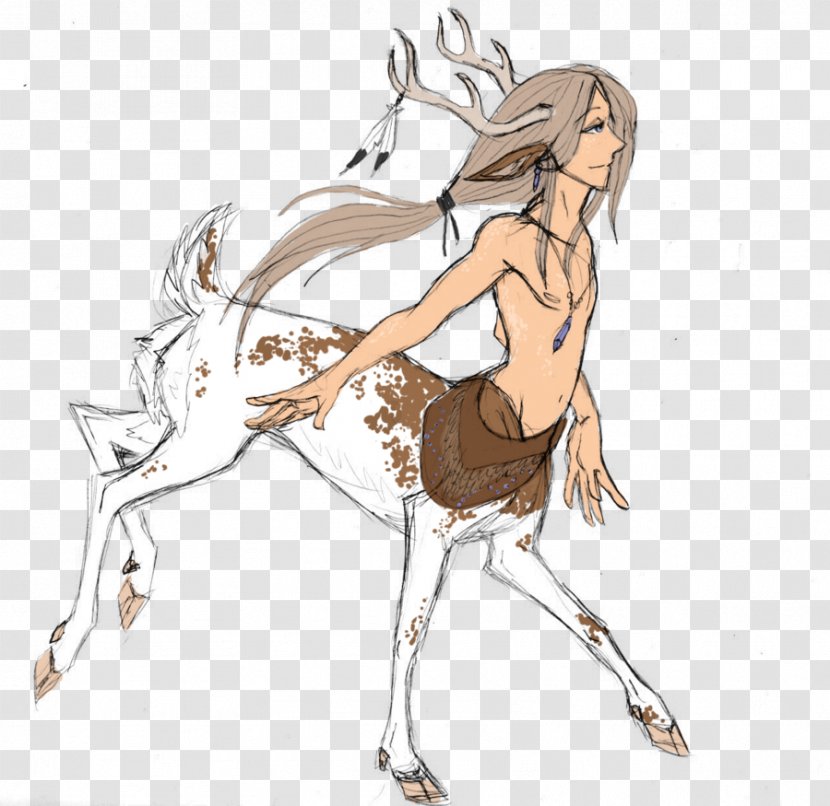 Deer Drawing Art Horse - Frame - Watercolor Transparent PNG