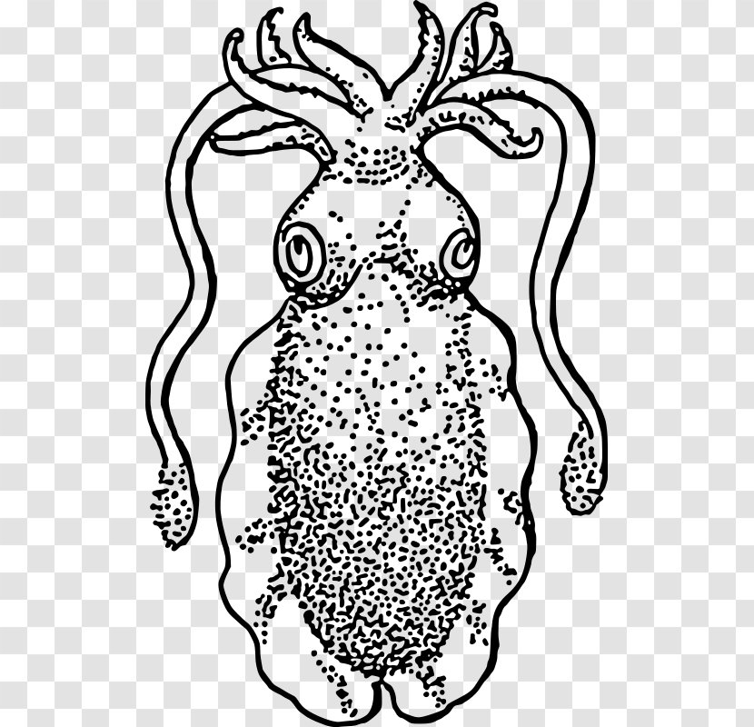 Squid Cuttlefish Drawing Clip Art - Flower - Underwater Creatures Transparent PNG