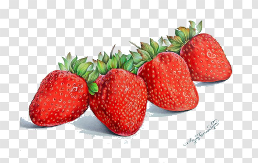 Colored Pencil Drawing Still Life Watercolor Painting Aedmaasikas - Fruit - Hand-painted Strawberry Transparent PNG