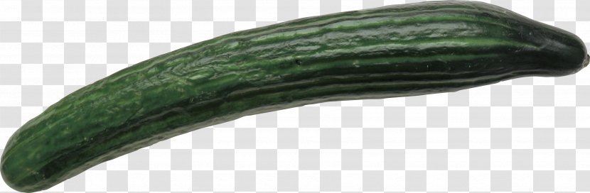Pickled Cucumber Product - Gherkin Transparent PNG