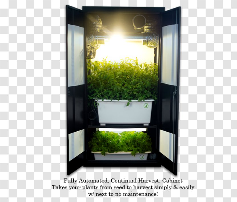 Grow Box Growroom Closet Hydroponics Light - Kitchen Cabinet Transparent PNG
