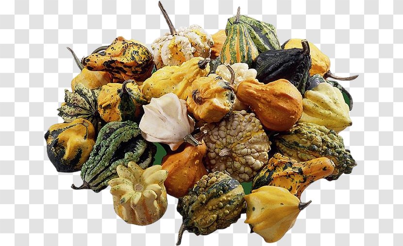 Autumn Vegetarian Cuisine Vegetable - Chomikujpl Transparent PNG