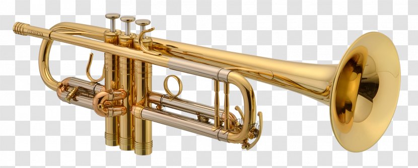Cornet Trumpet Flugelhorn Orchestra Trombone - Tree - Tenor Transparent PNG