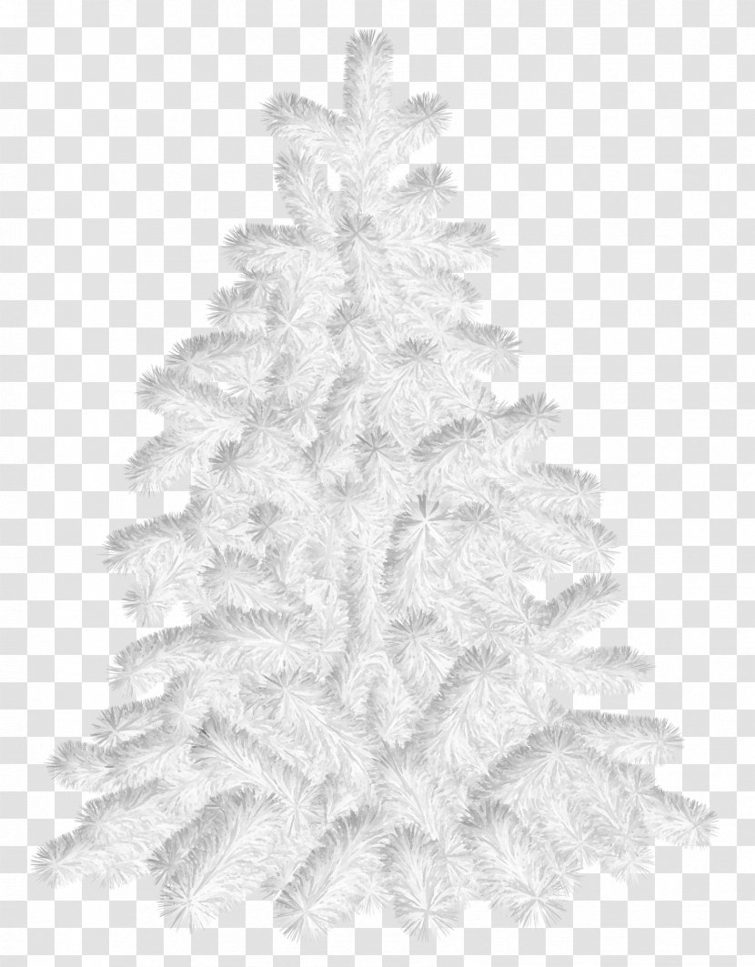 Christmas Tree Spruce Day Ornament Fir Transparent PNG