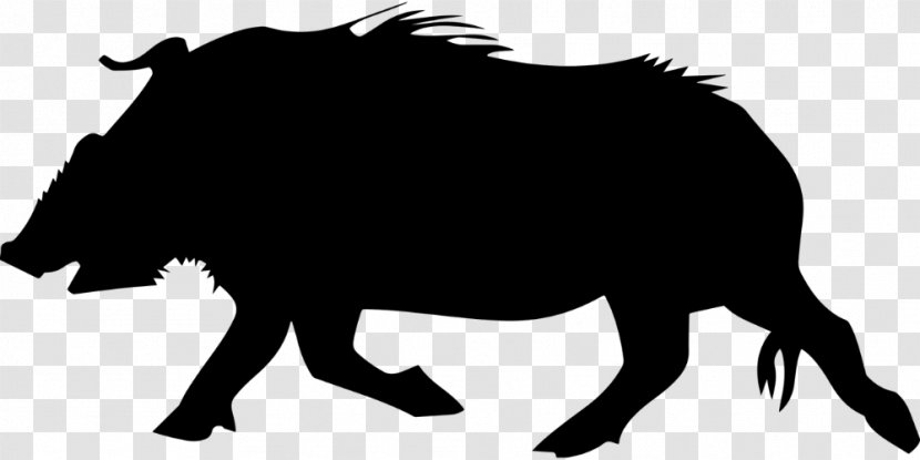 Wild Boar Drawing Clip Art - Delicious Jerky Transparent PNG