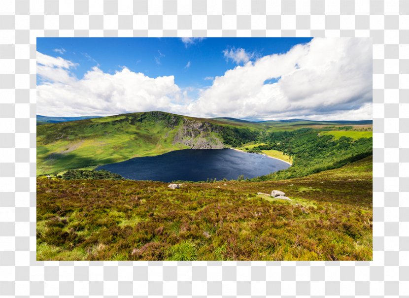 Lough Tay Landscape Lake Photography Loch - Meadow - Mountain Watercolor Transparent PNG
