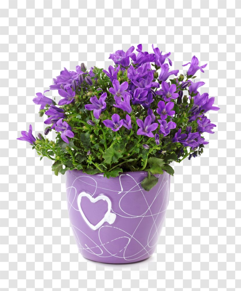 Bellflowers Cachepot Ceramic Garden Vase - Flowerpot Transparent PNG