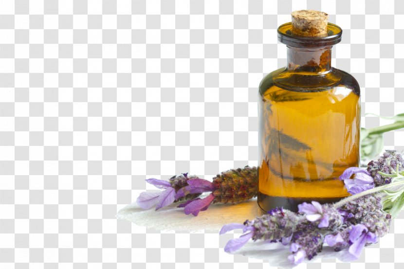 Lavender Oil Essential Skin - Acacia Concinna - Lavendar Transparent PNG