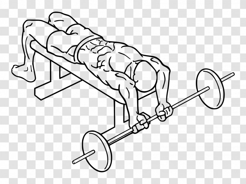 Exercise Equipment Line Art Barbell Auto Part Transparent PNG