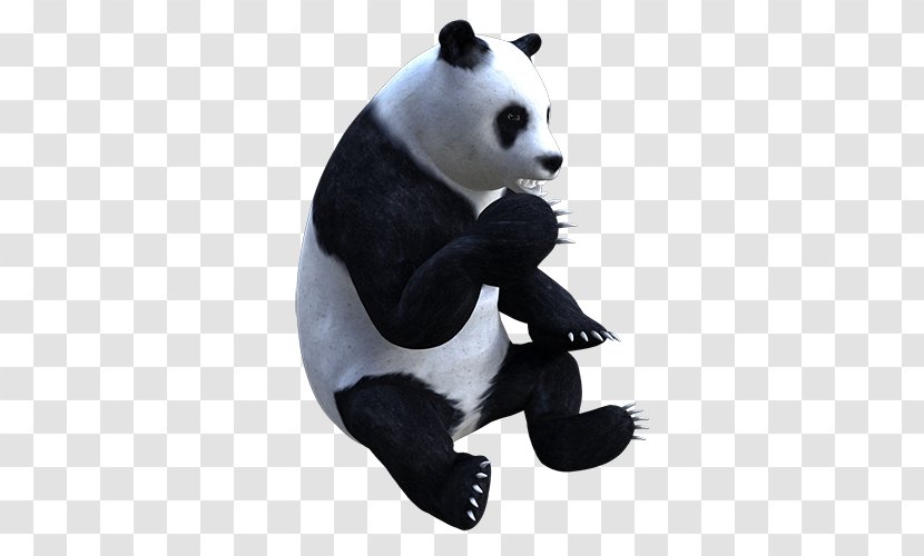 Giant Panda Stuffed Animals & Cuddly Toys Snout - Cool Virtual Reality Headset Transparent PNG
