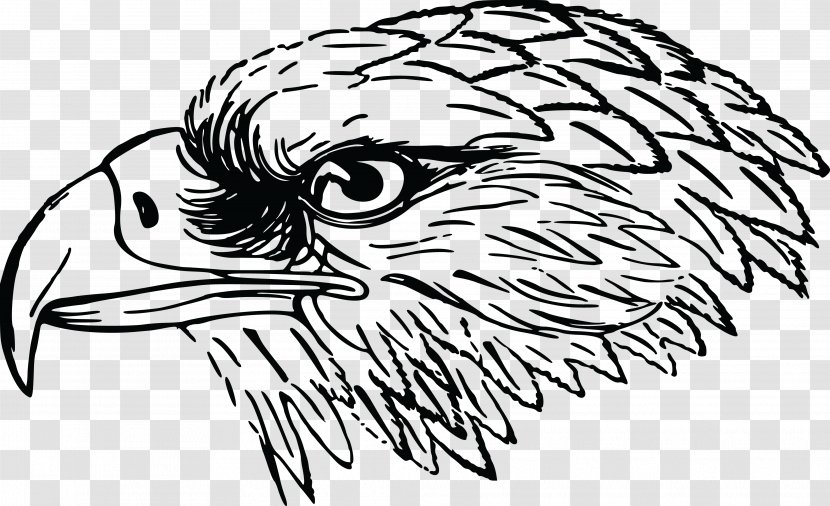 Bald Eagle Bird Clip Art - Heart - Head Transparent PNG