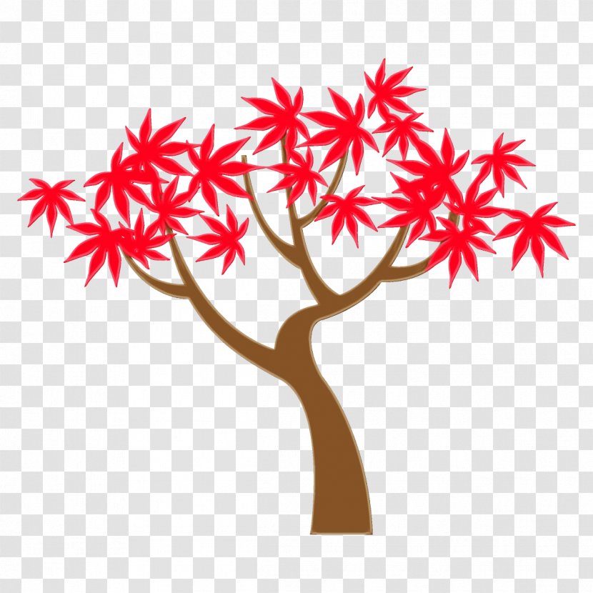 Tree Red Leaf Woody Plant - Flower Maple Transparent PNG