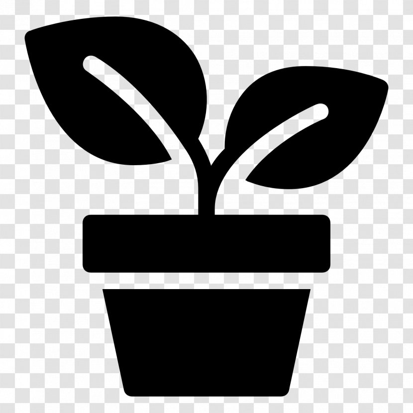 Houseplant Flowerpot Tree - Seed - Potted Plants Transparent PNG