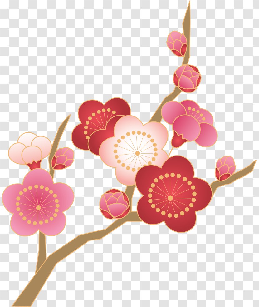 Plum Blossom Japan Thermoses Photography - Branch Transparent PNG