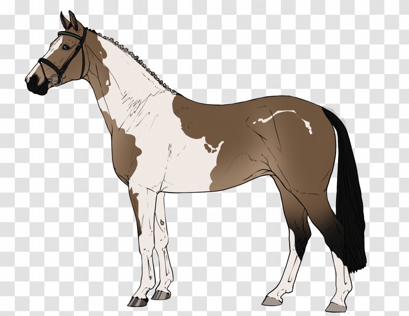 Foal Horse Stallion Mane Rein - Canter And Gallop Transparent PNG