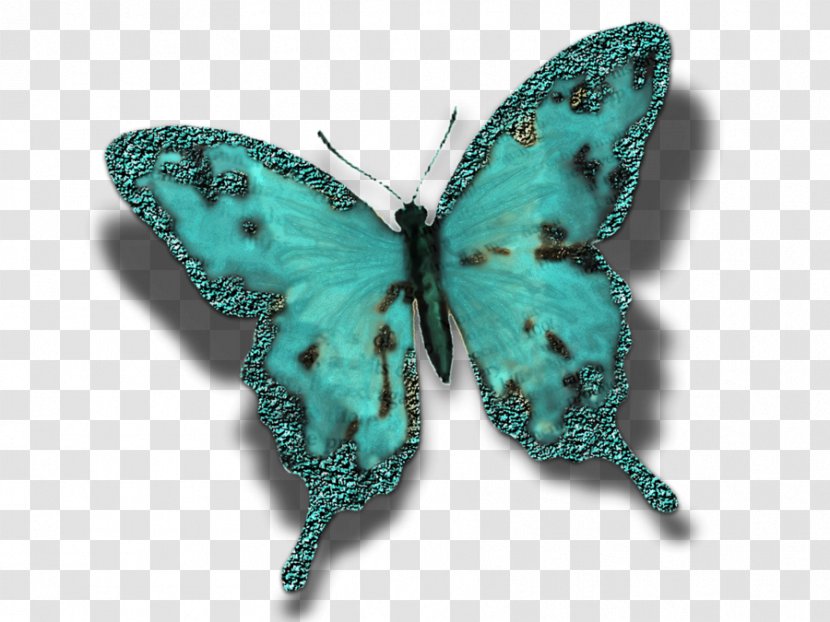 Butterfly Insect Turquoise Moth Pollinator - Invertebrate - Creative Cards Transparent PNG