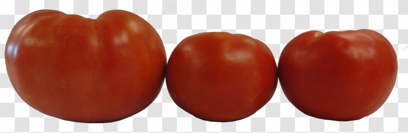 Roma Tomato Plum Determinate Cultivar Vegetable Variety - Potato And Genus Transparent PNG