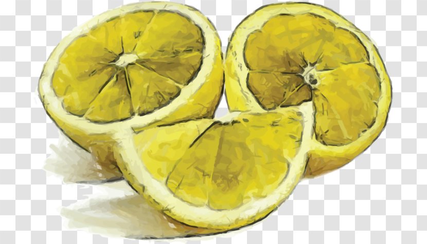 Lemon Orange Fruit - Watercolor Painting Transparent PNG