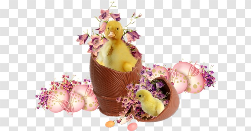Easter Bunny Todcom Egg Holiday - Dessert Transparent PNG
