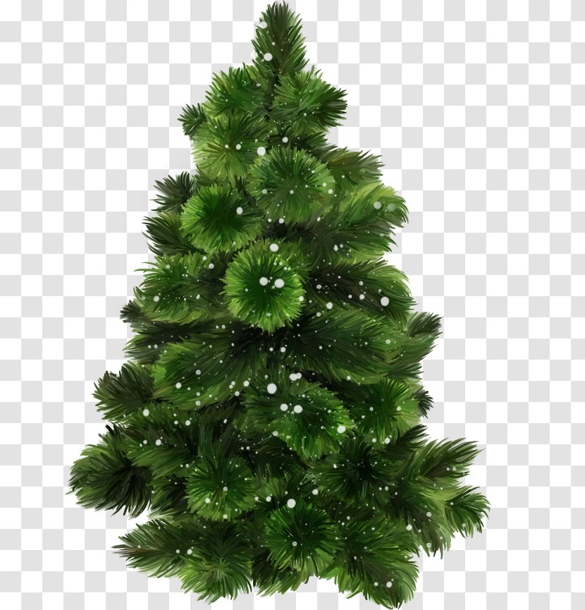 Christmas Tree New Year Santa Claus - Biome Transparent PNG
