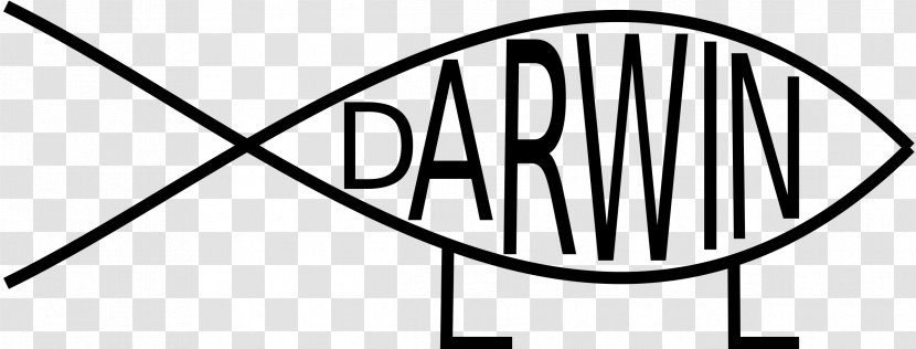 Darwin Evolution Clip Art - Black And White - Walking People Transparent PNG