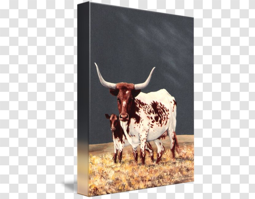 Texas Longhorn English Ox Calf - Watercolor Cow Transparent PNG