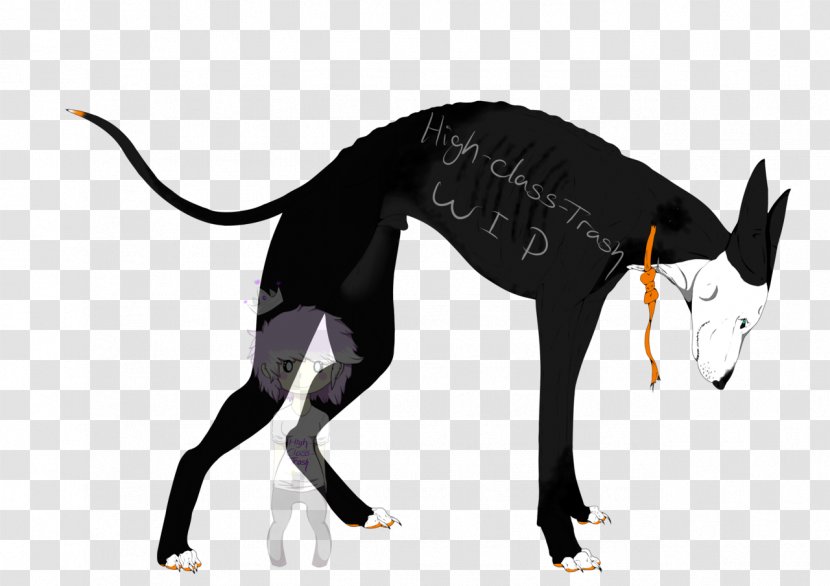 Dog Breed Italian Greyhound Cat - Like Mammal Transparent PNG